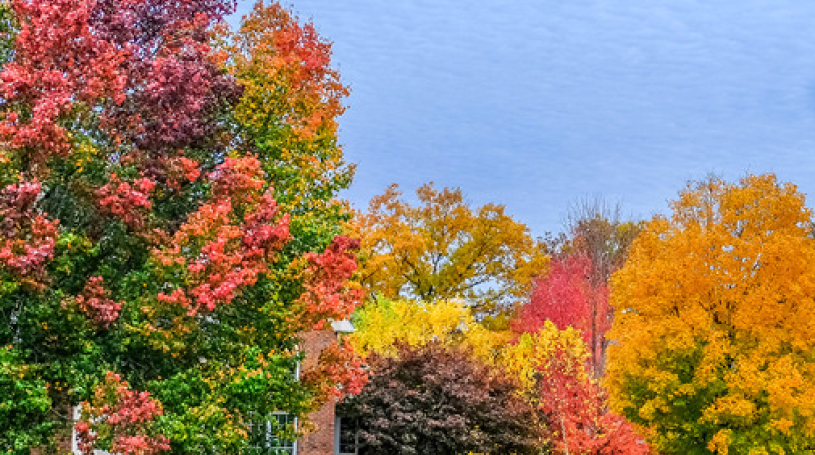 fall landscape
