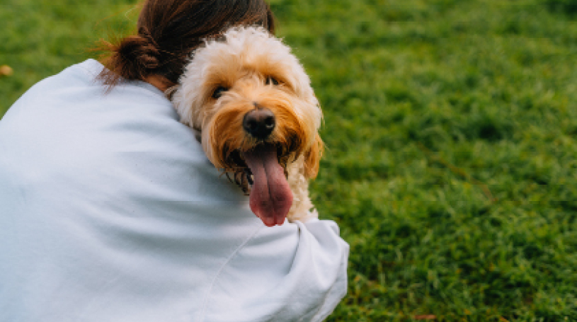 dog