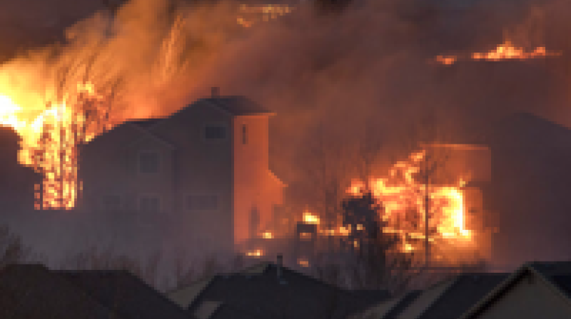 wildfire