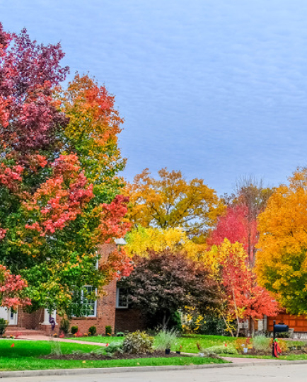 fall landscape