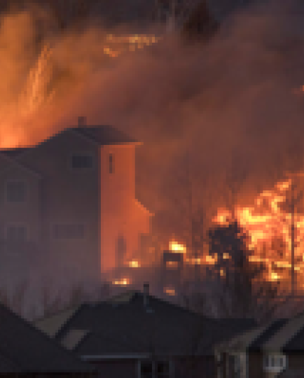 wildfire