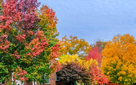 fall landscape